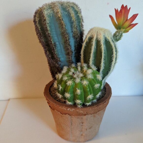 Ashland Other - NEW Ashland Faux Triple Cactus Clay Pot Floral Succulent Michael's Desert Summer